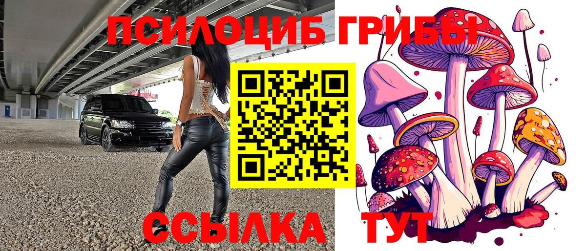 Псилоцибиновые грибы ЛСД  Вход с VPN  Луховицы  Галлюциногенные грибы Psilocybine cubensis 